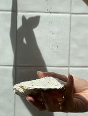 SHOWER SPELL JAR - ZEN